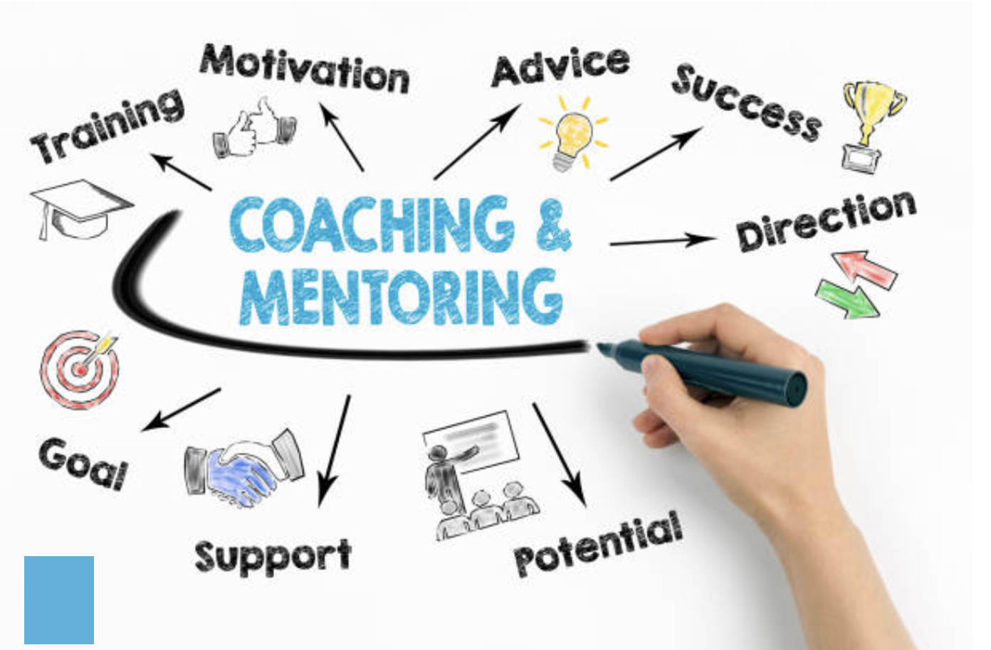 Career Guidance & Mentorship